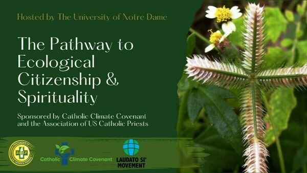 Text reads The Pathway to Ecological Citizenship and Spirituality. There is a cross made out of flowers on a green background.