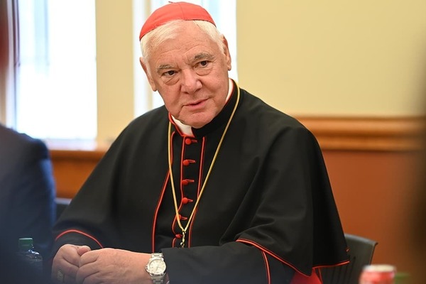 Cardinal Gerhard Ludwig Müller, a Caucasian man wearing clergy robes speaks to listeners in the foreground.